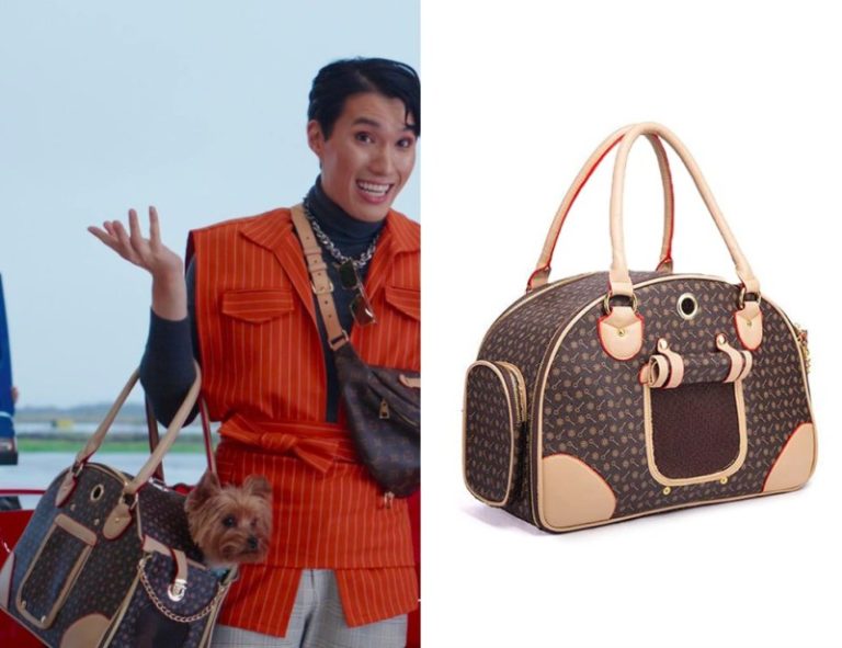 Joy Ride: Pet Carrier