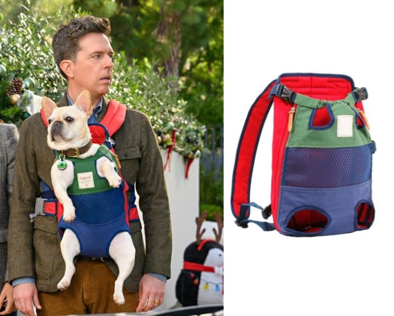 Family Switch: Colorblock Dog Chest Carrier