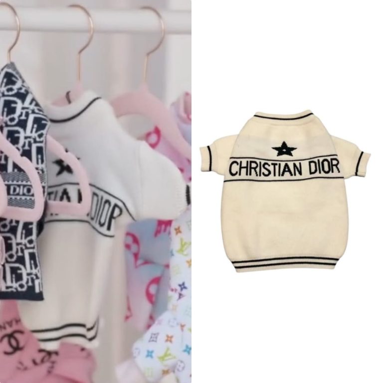 A Very Demi Holiday Special: Dog’s Star Sweater